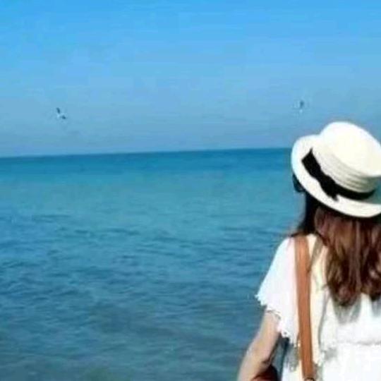 怀化卓多资zzovv女装