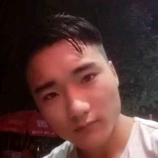 风欲静树瞎摇
