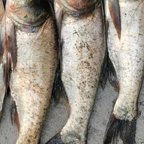 错过风，收获雨