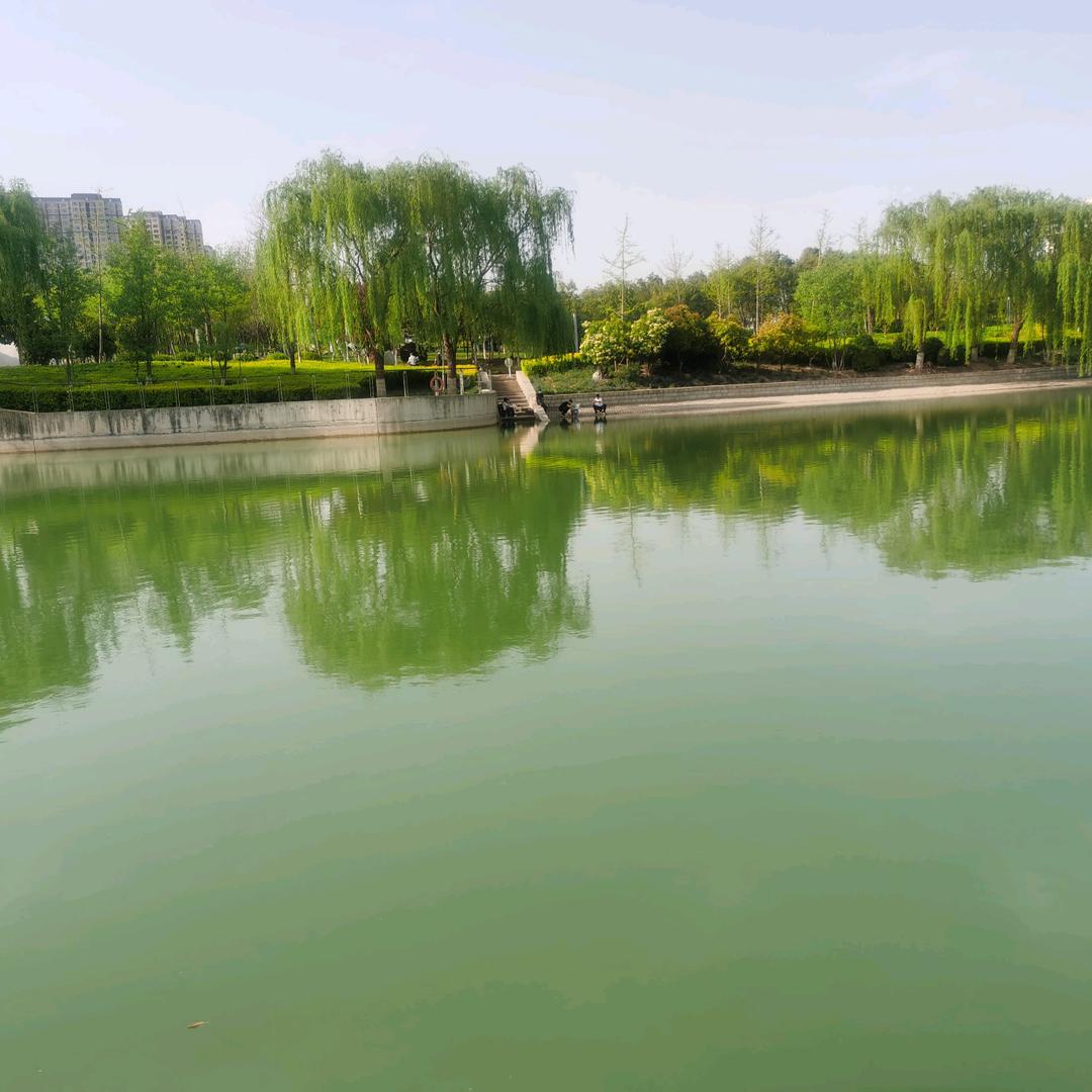 顺其自然
