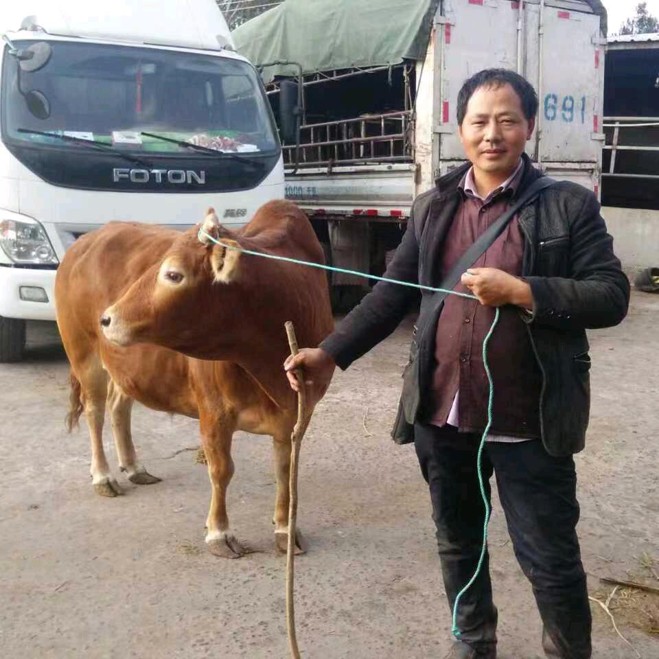 马学波