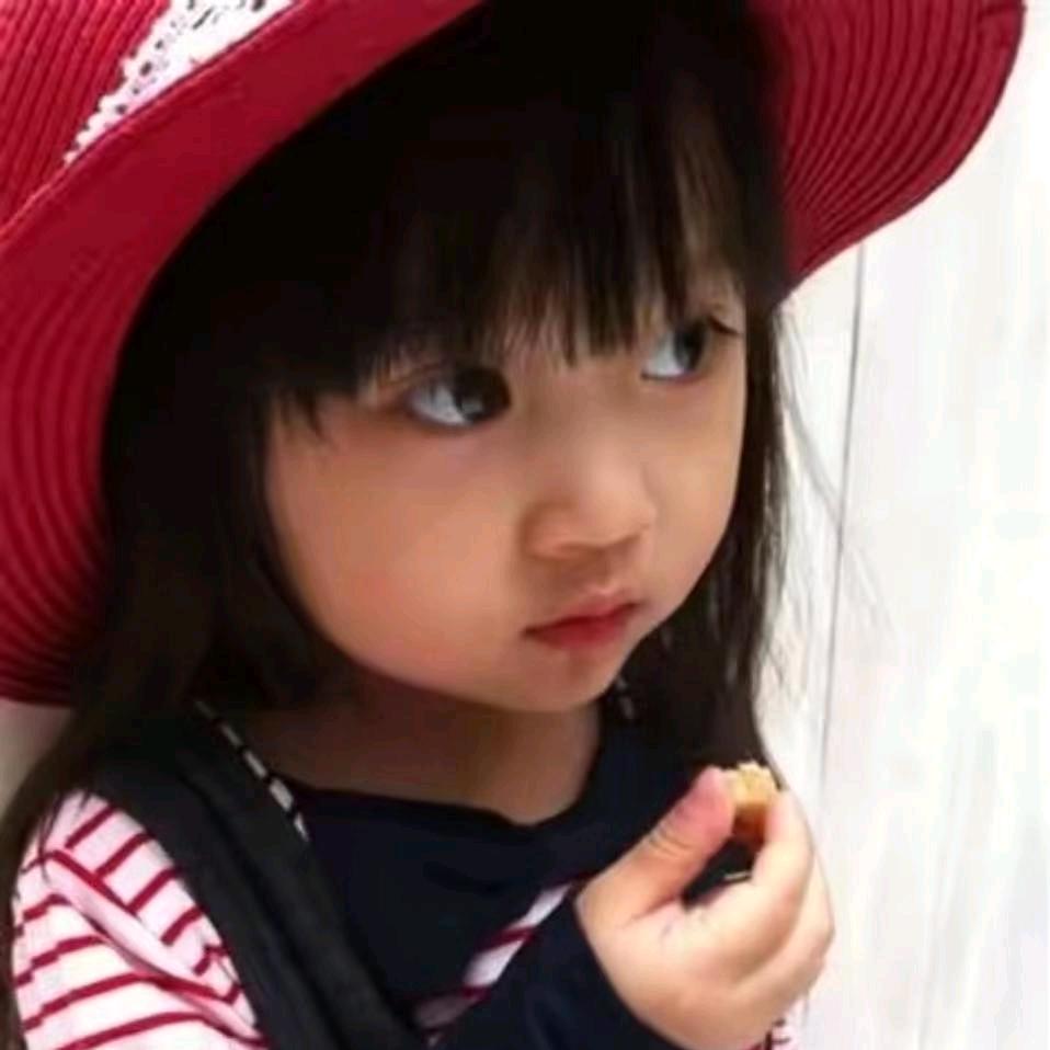 蓝 桉 °