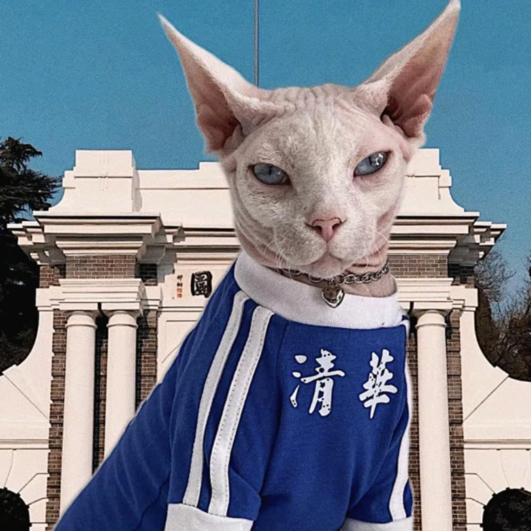 🧜‍♀️匡緹緹🧠