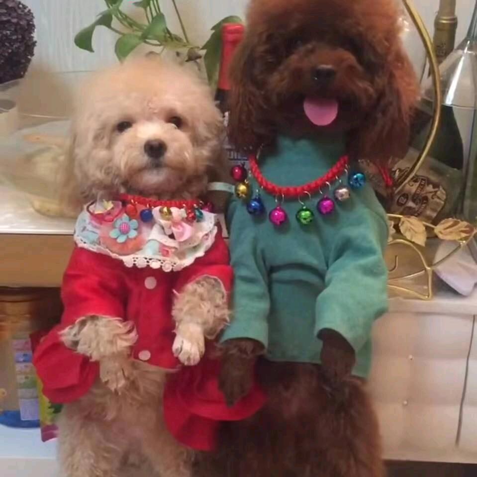伤不起。