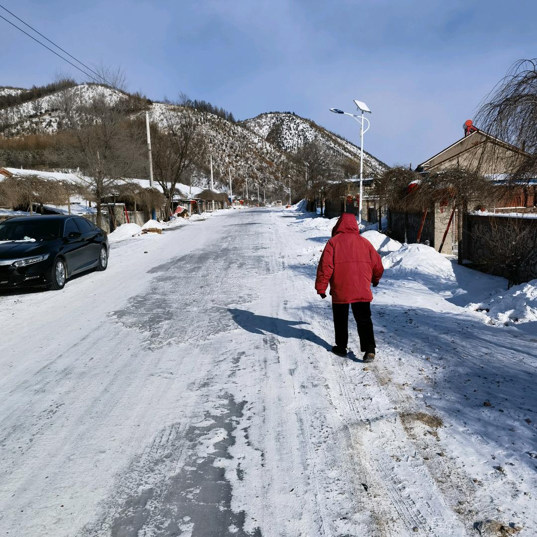 阳光向北