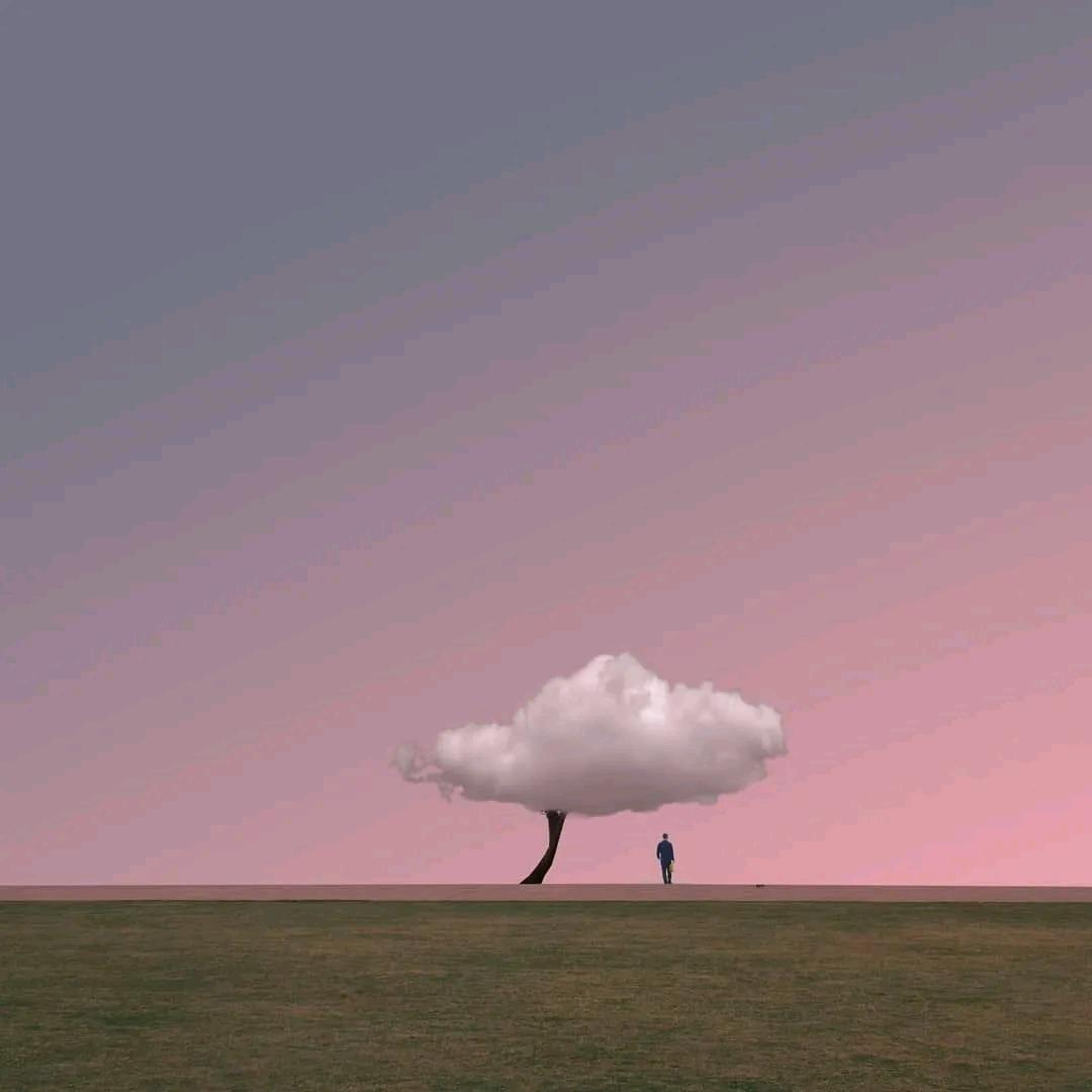浮风头像