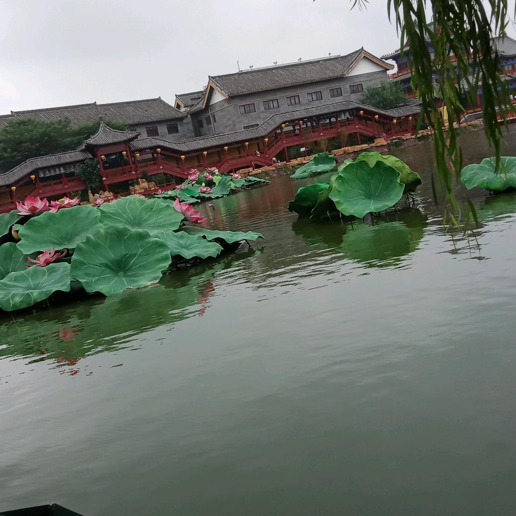 邢影不离