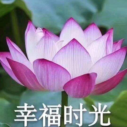 红姐，拒绝私聊，