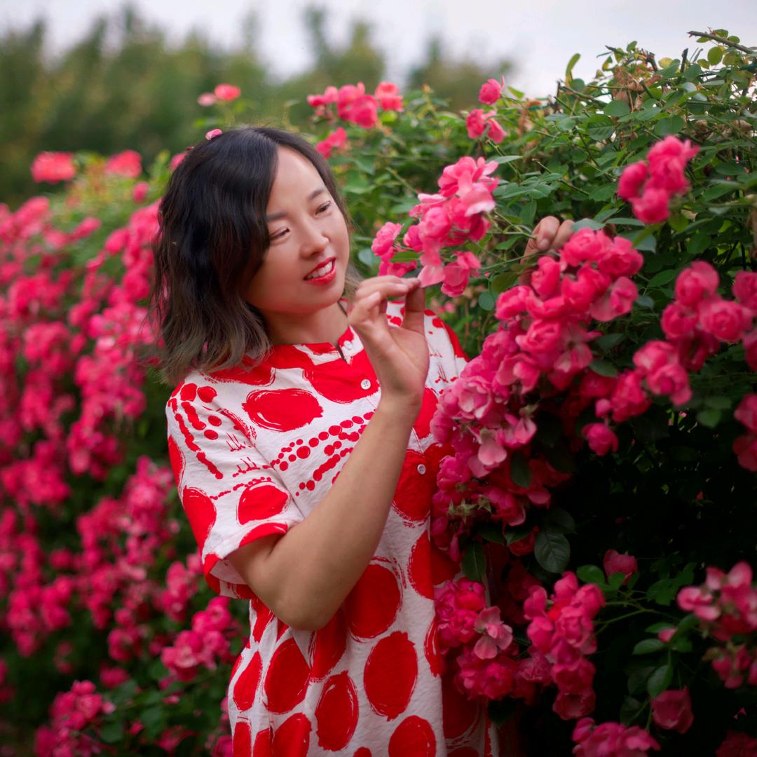种月季的赵小花