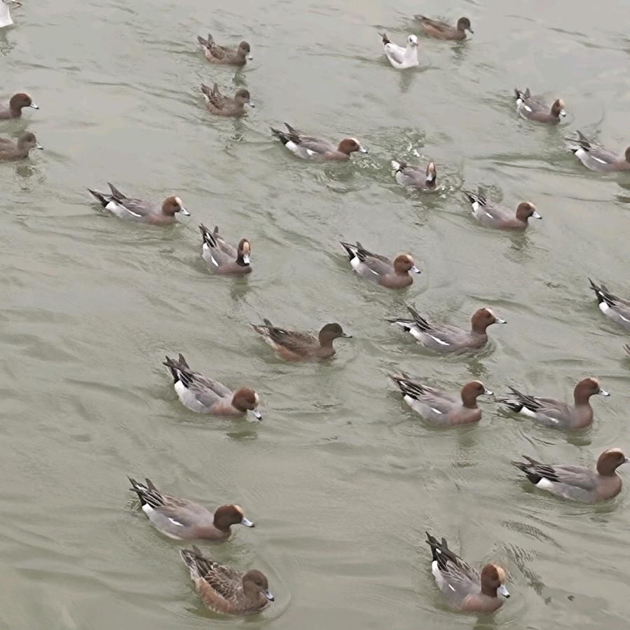 每天共同运动户外