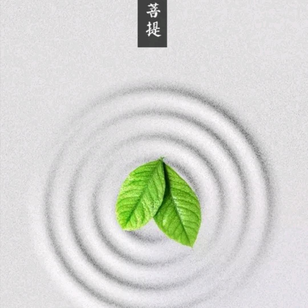 《小红娘》-｛沛纯💞～249💞｝