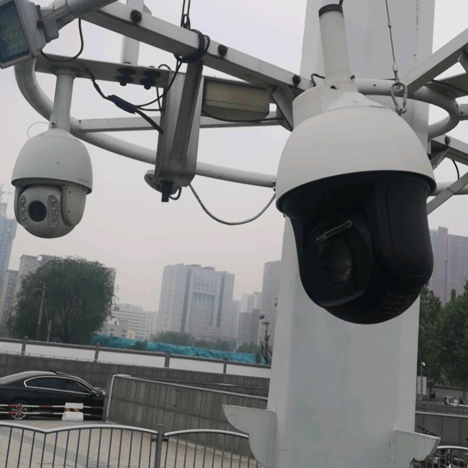 我是我…