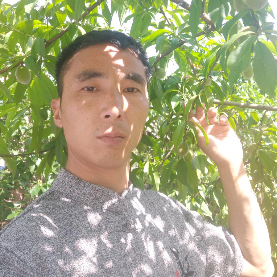 🌷顺理成章🌹