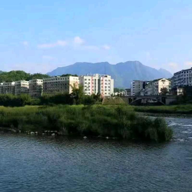雄鹰飞翔