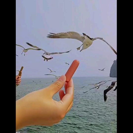 时光匆匆岁月无声