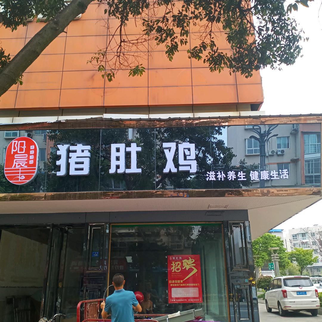 @猪肚鸡肖肖