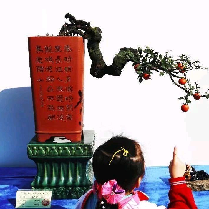 绍兴醉园