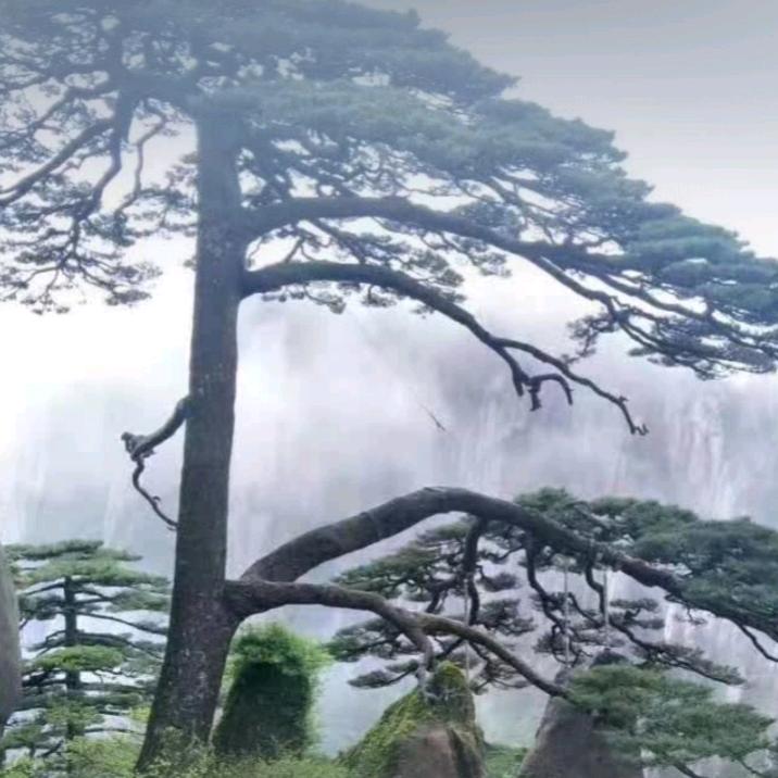 熠熠生輝