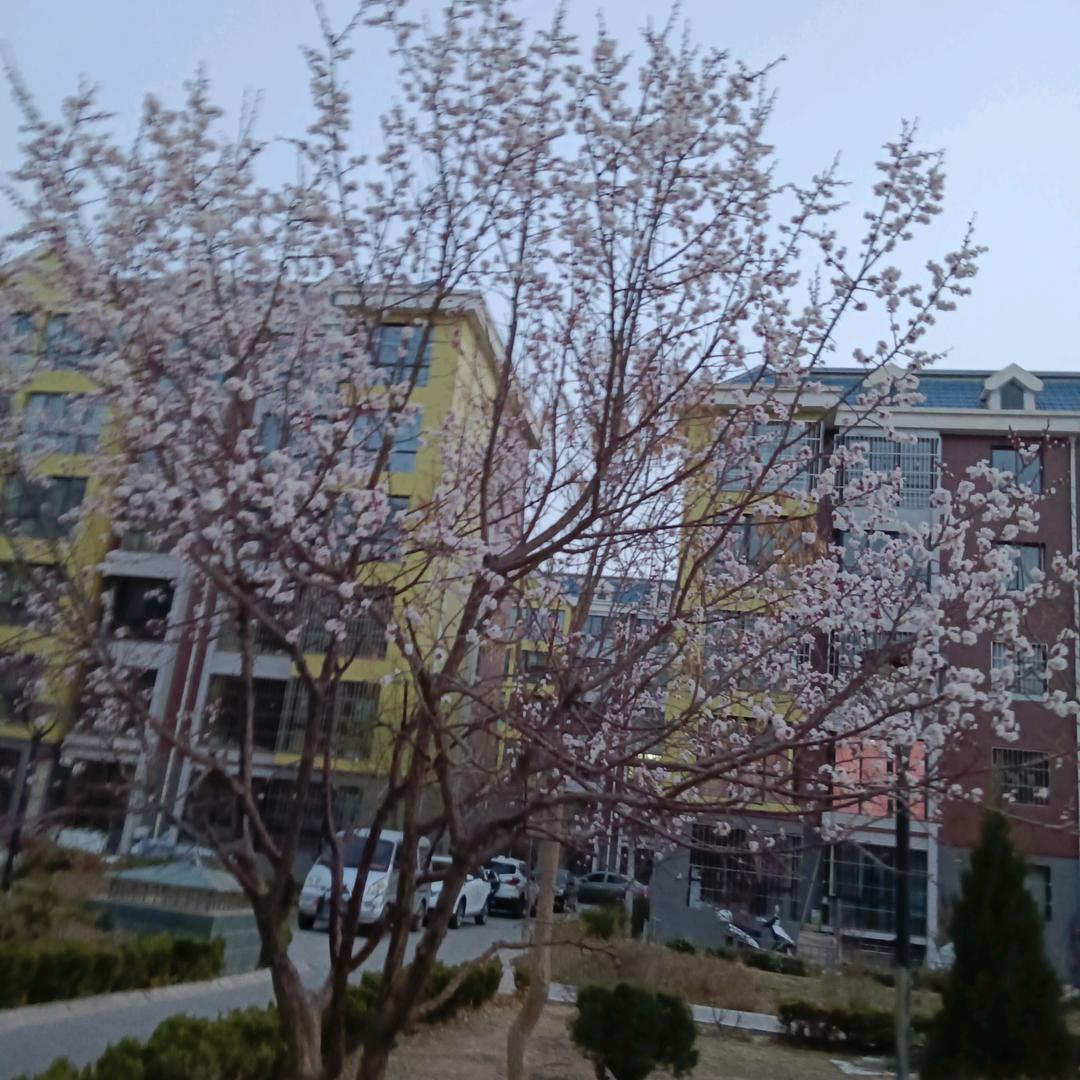 你是我永远的痛