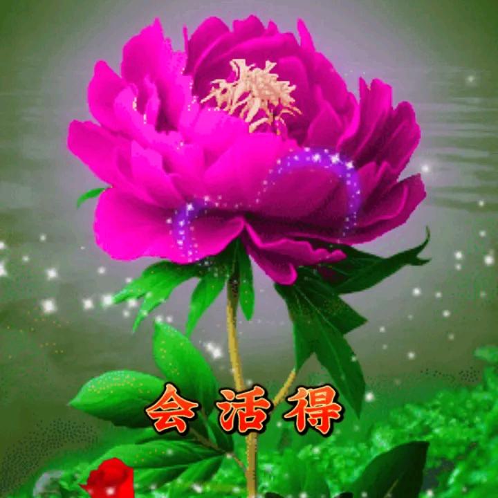 开心过好每一天