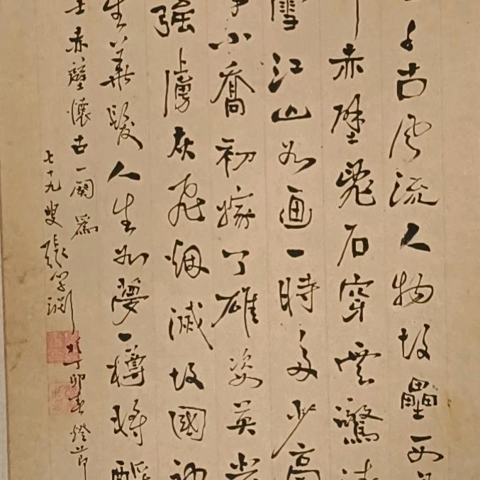 肥肥跑哪了