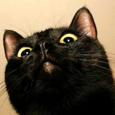 孤独长眠