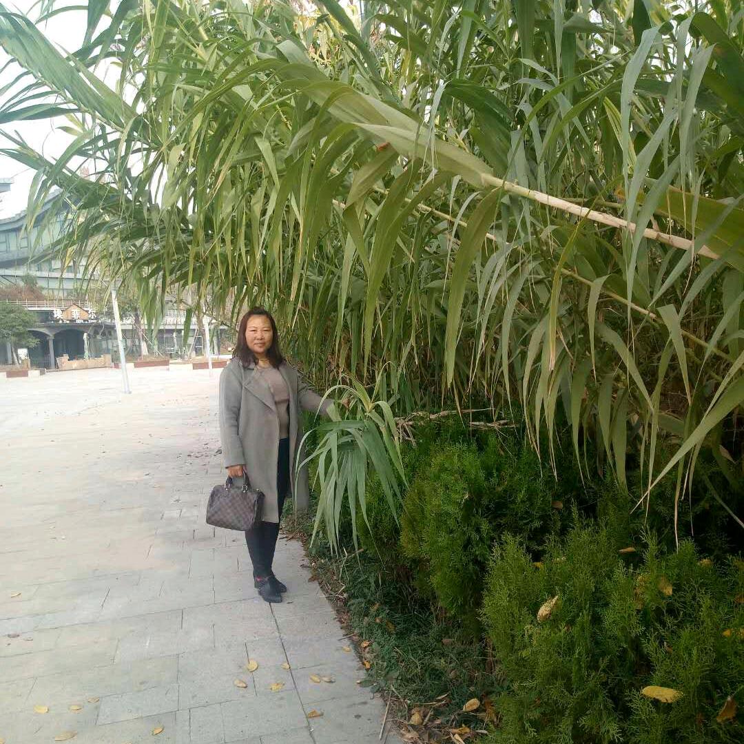 李姐泗州戏，晚上七点开播❣️
