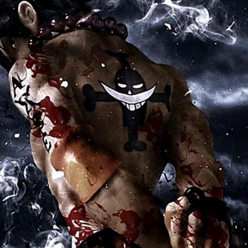 波特卡斯·D·艾斯