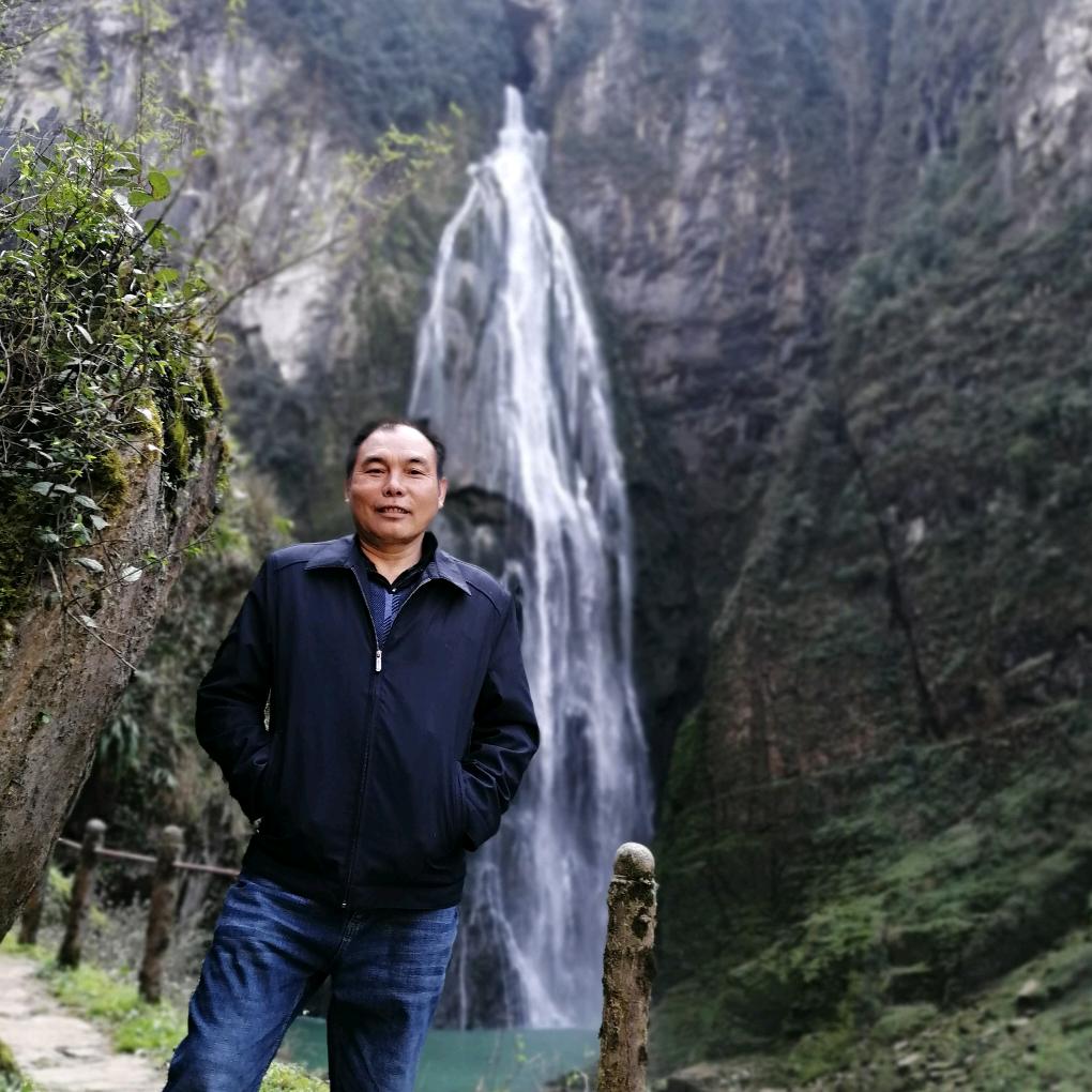 龙哥