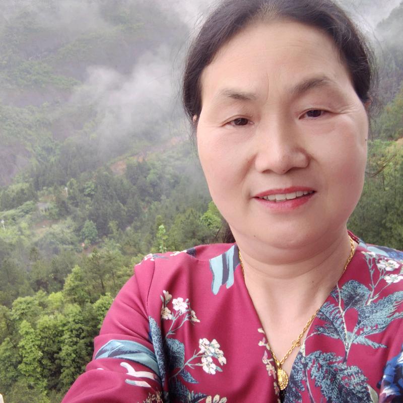 春天来了樱花盛开