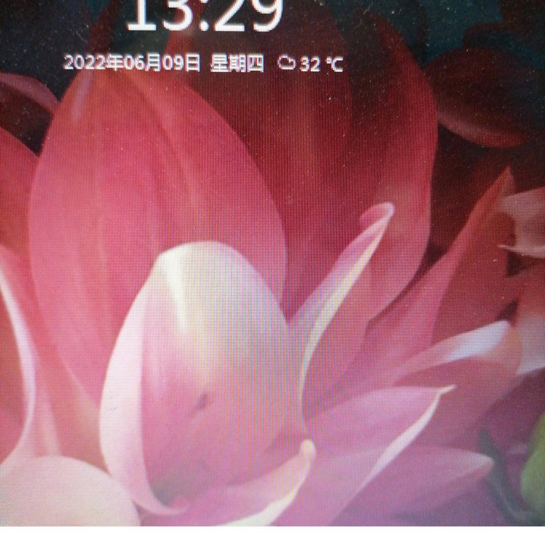 歌王