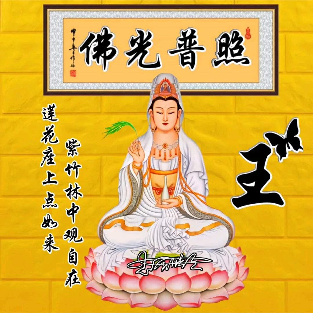 苍狼