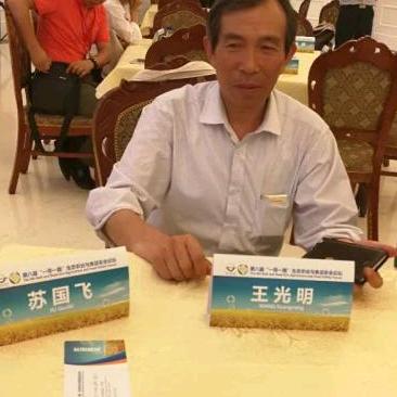 奇缘清牌苹果