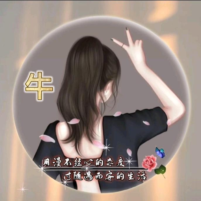 牛牛《手势舞》