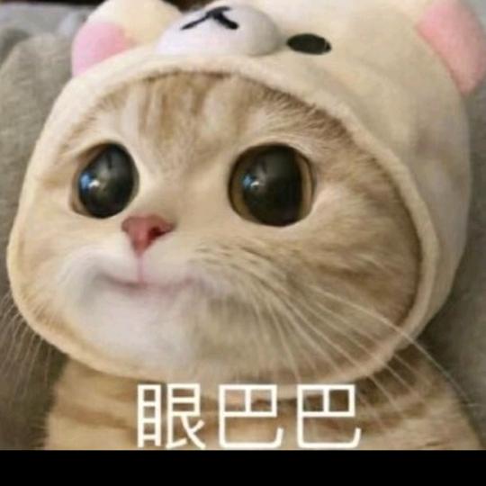 小松果