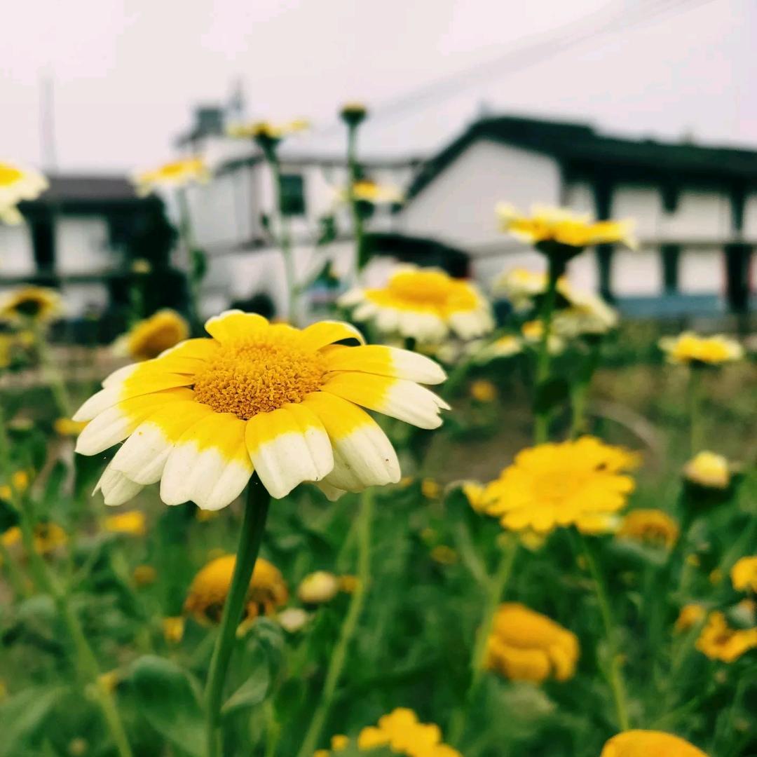 我心永恒