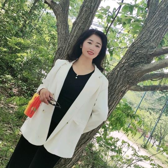 南飞雁
