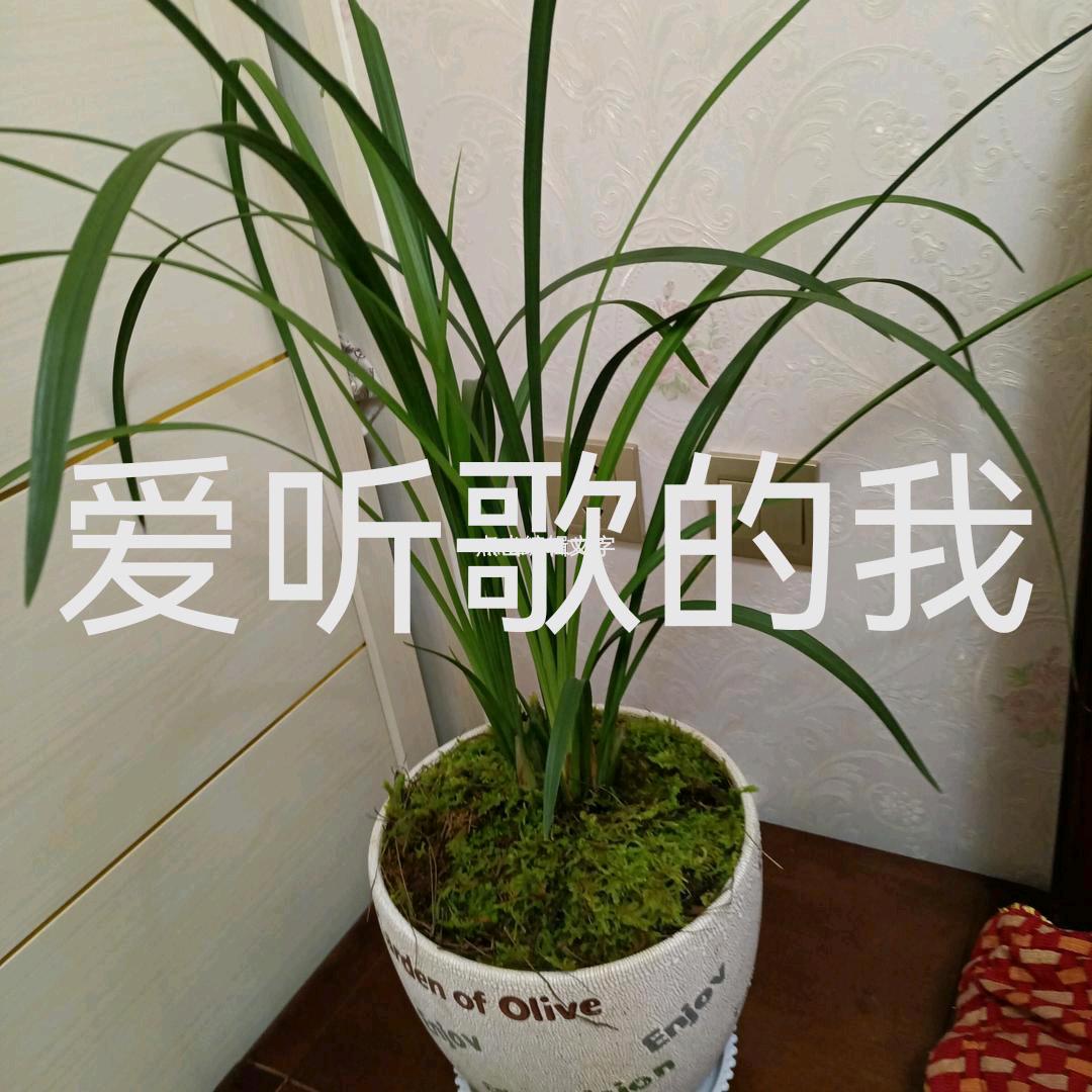 用户12356678900889