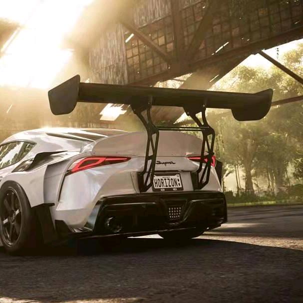 大葱切段生姜切片