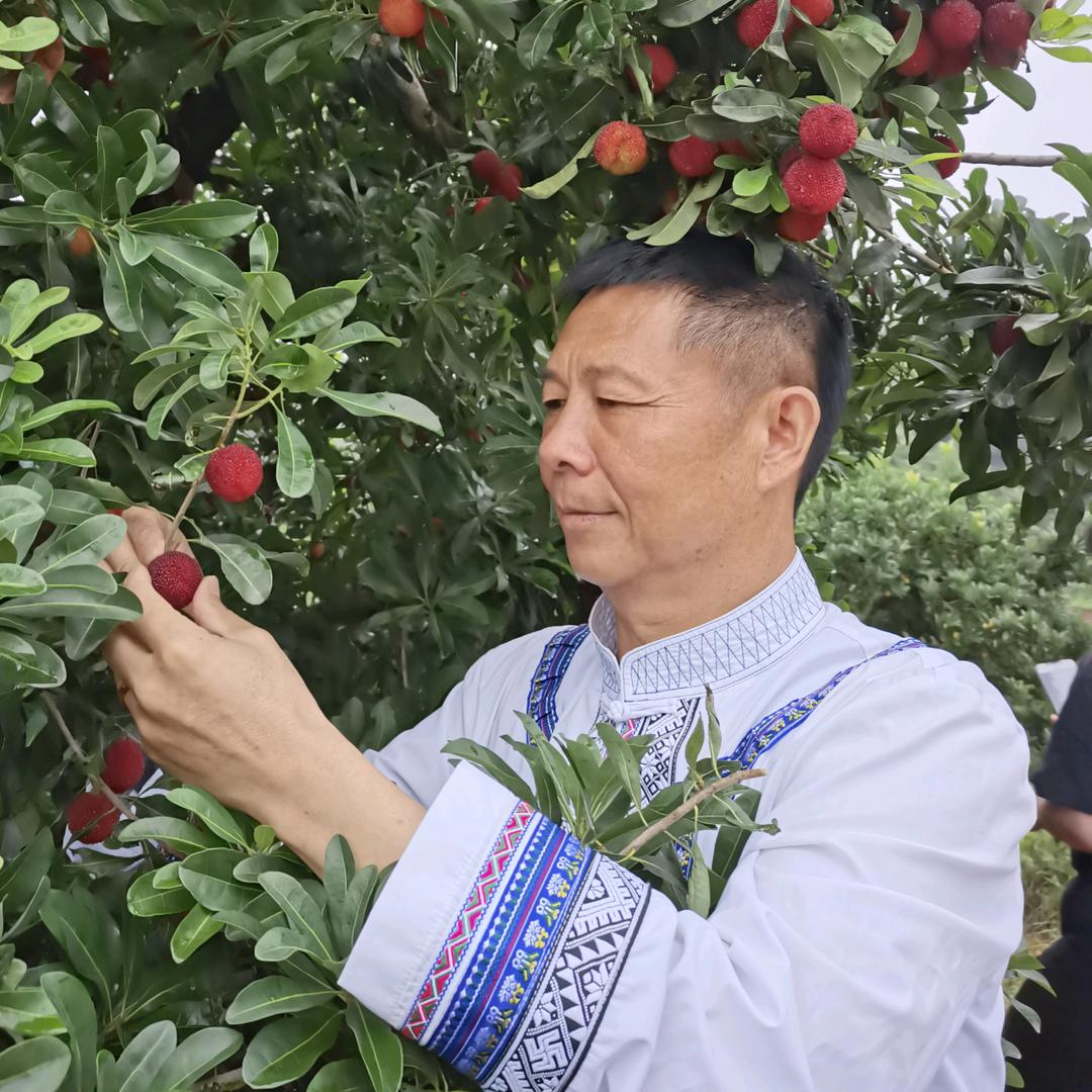 志远教育