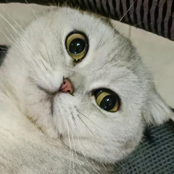 可不可以不想你🌈🍁