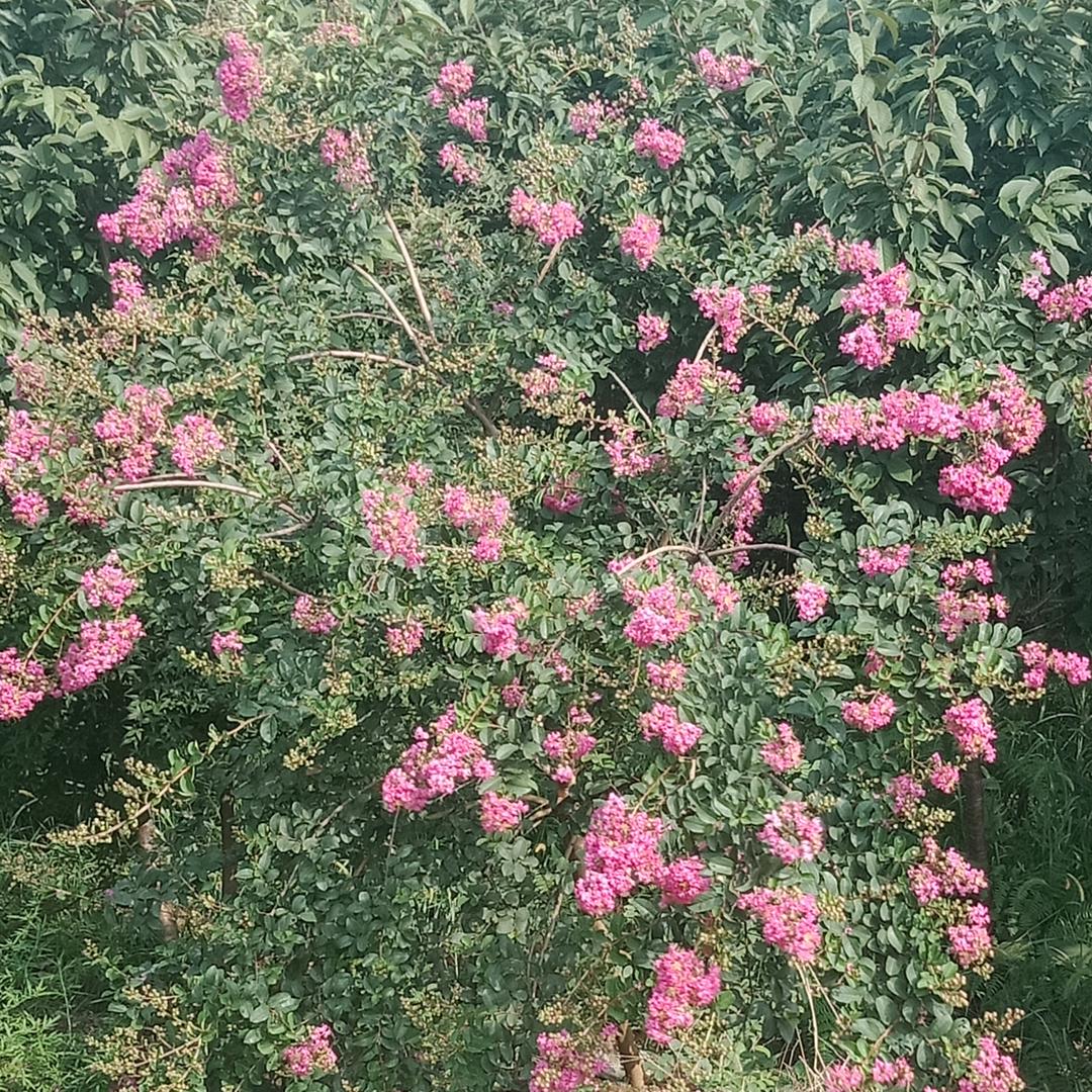 余氏家族一家亲