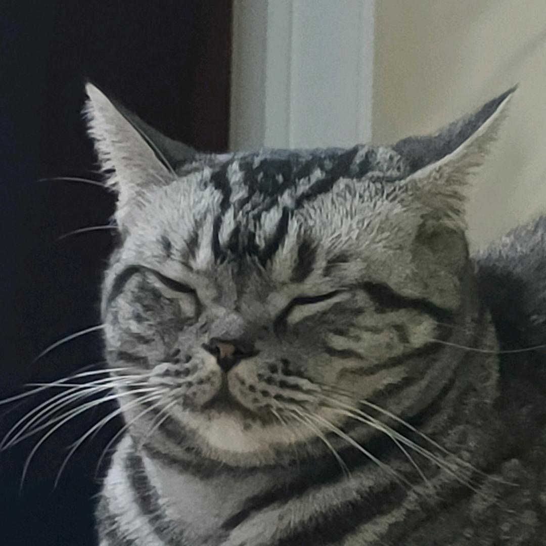 爱咋咋地