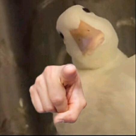 念.