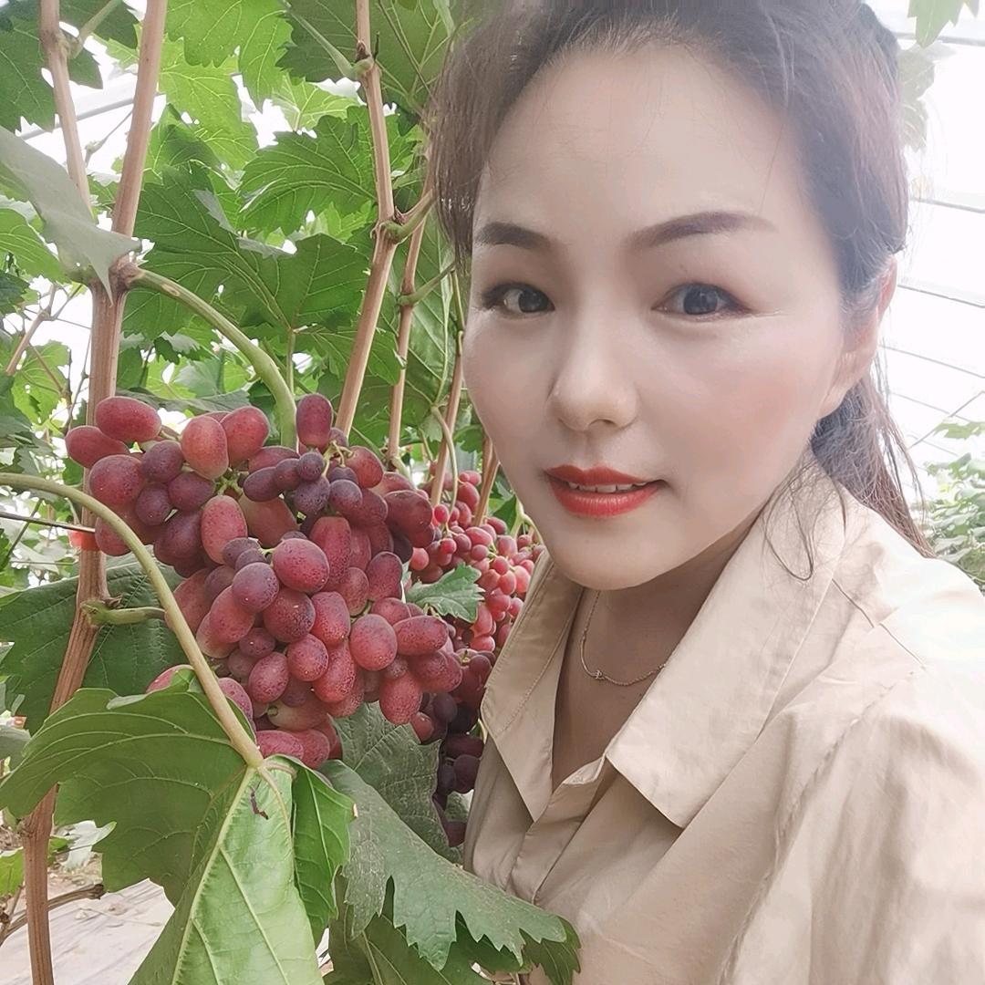 莲姐玩转兰考