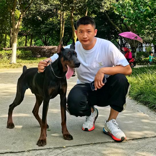 @成都肖二  宠物