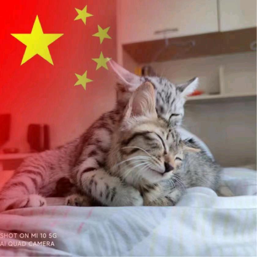 大东`