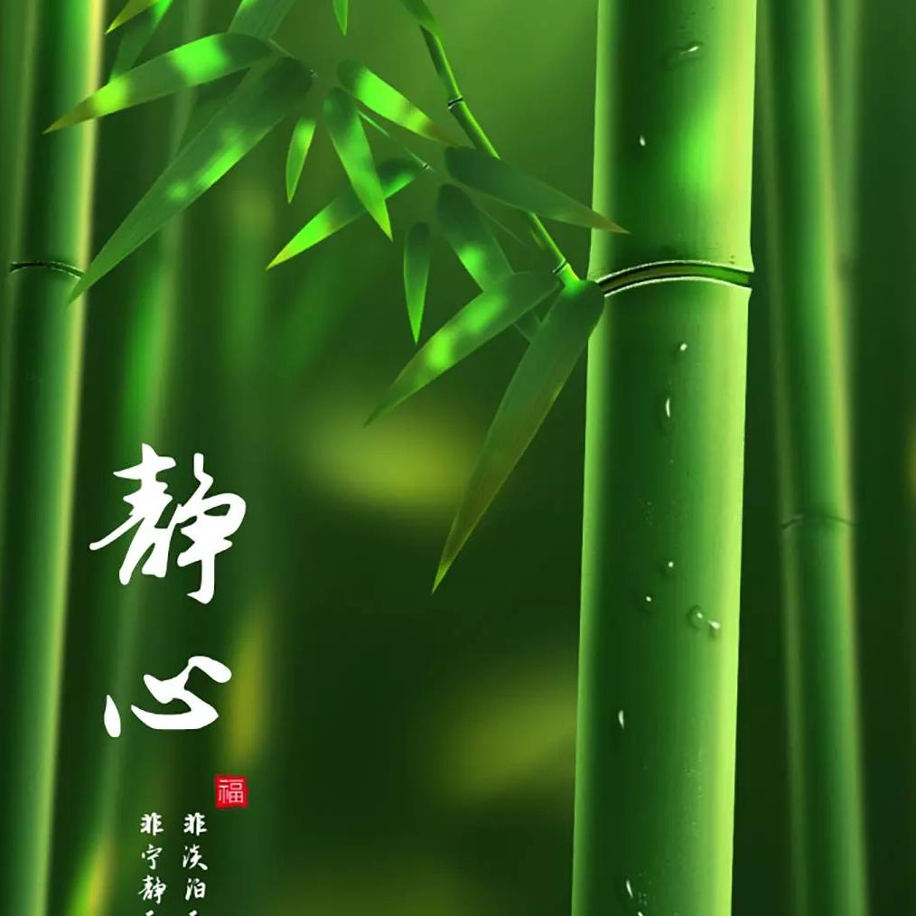 一竹清风