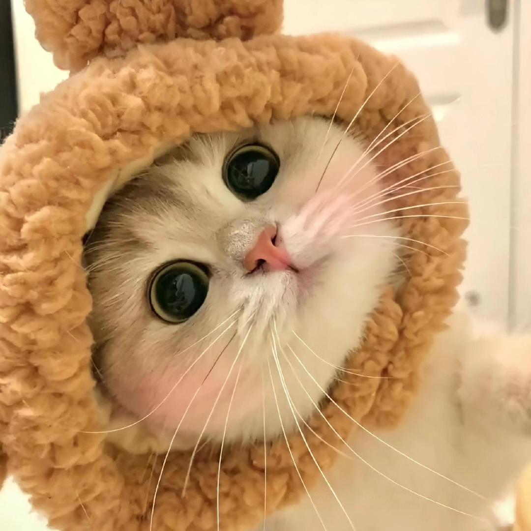 ᝰ余生