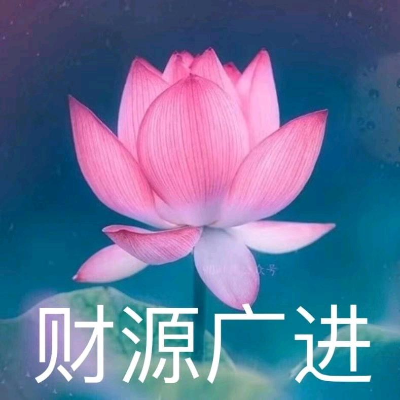 凤
